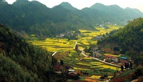 重庆比较高端的带会议室农家乐,重庆哪些好的农家乐可以玩