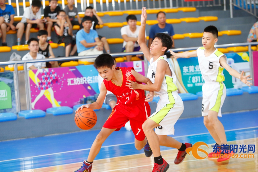 东莞市小学篮球赛2021,2020年东莞市小学篮球锦标赛