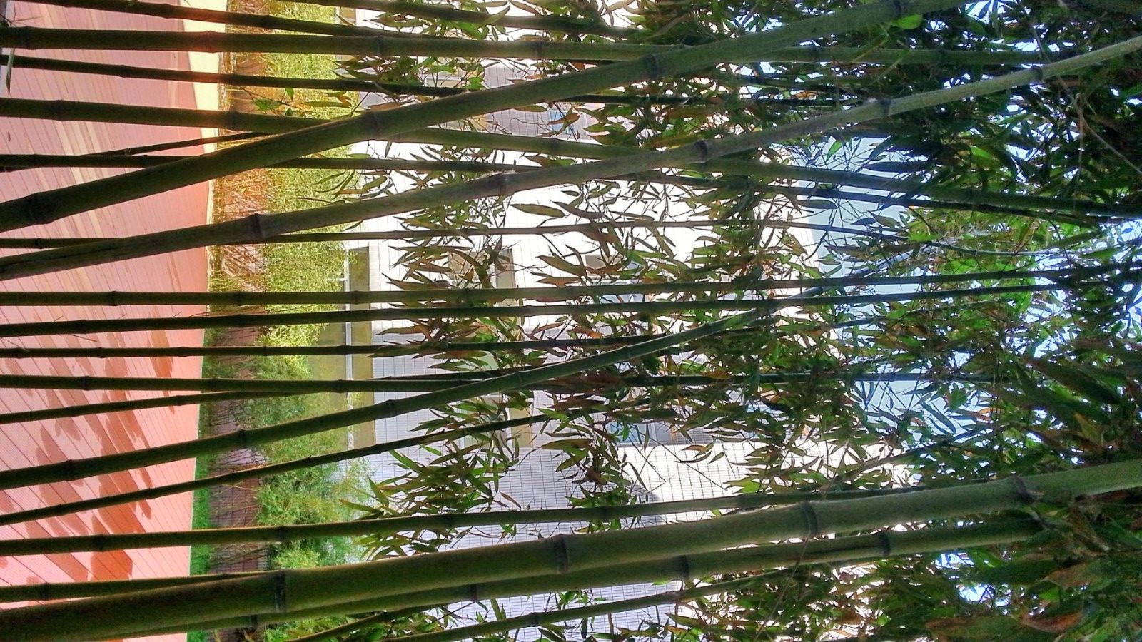 爱我亚太——25周年校庆系列活动之“爱”校