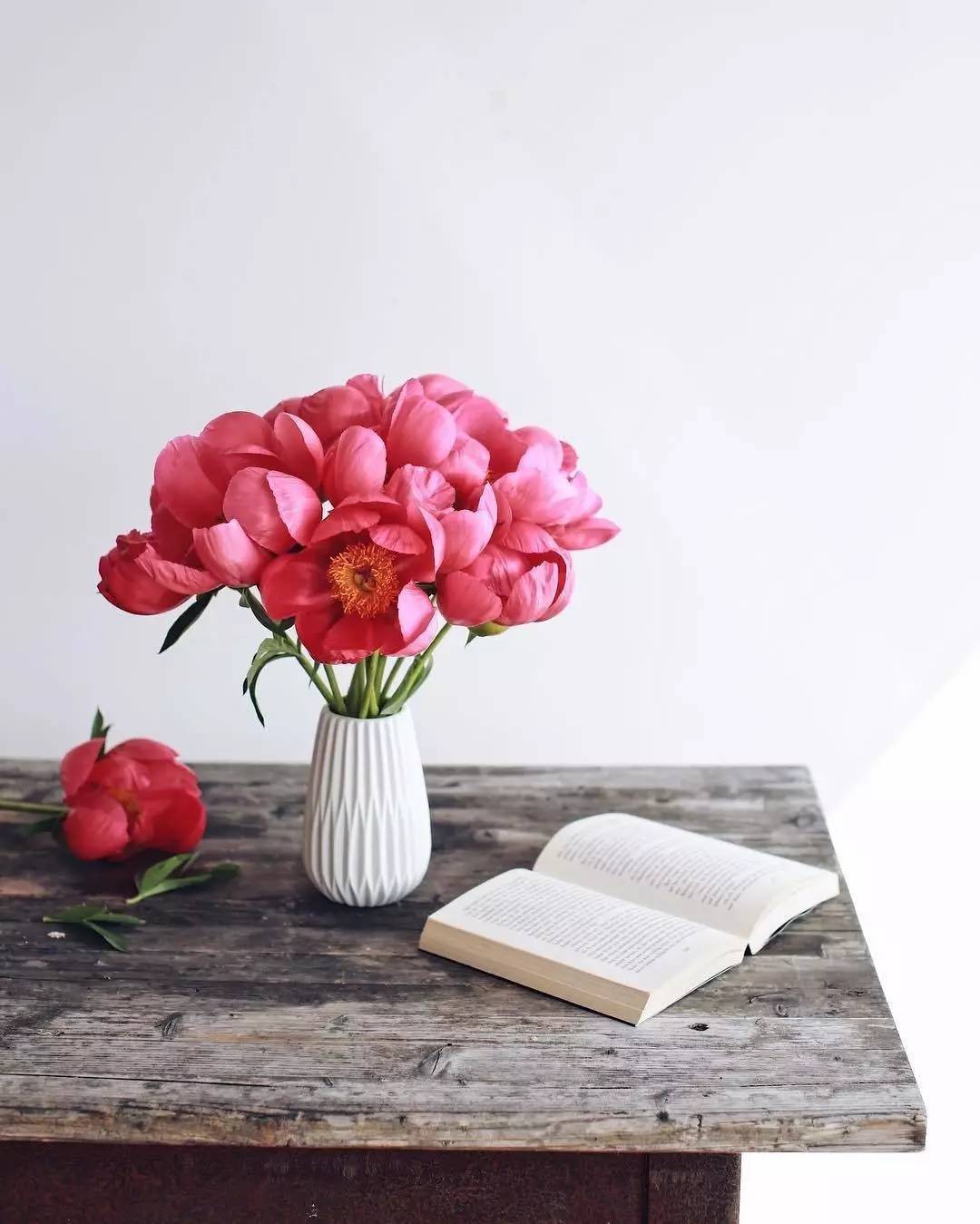 除了康乃馨还可以送母亲什么花,母亲节适合送妈妈的花康乃馨