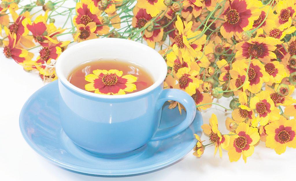 医学常识学医必备,医学术语每周一次简写