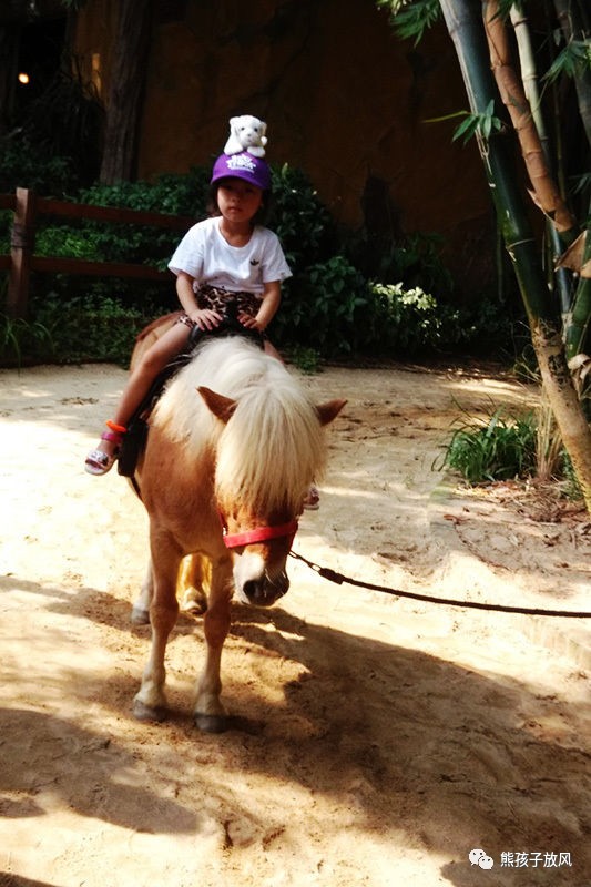 广州长隆野生动物园游玩攻略,广州长隆野生动物园攻略自由行