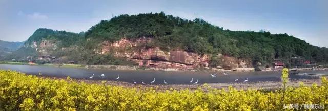 对不起，我要去夹江“区”了！