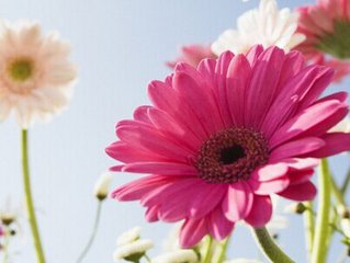 清洁度正常的阴道炎，还需要治疗吗？