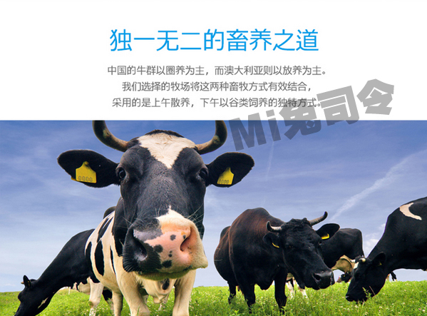 小孩喝的进口奶粉有哪些,进口奶粉哪款宝宝容易接受