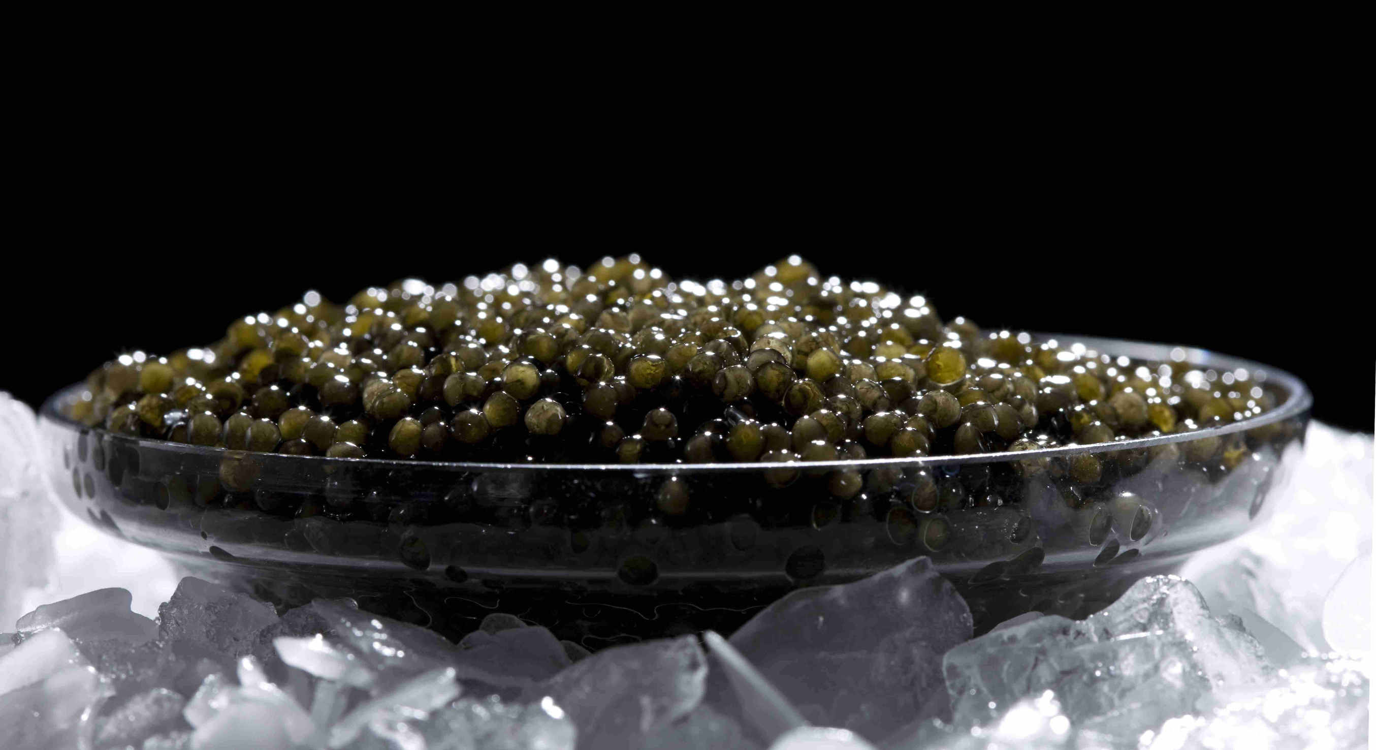 鱼子酱经典场面,带你探寻顶级鱼子酱的加工流程