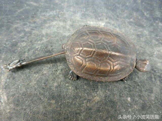 农民掏粪时挖出金乌龟,大叔挖到金乌龟