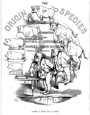 达尔文的进化论最出名的话,为何那么多人怀疑达尔文的进化论