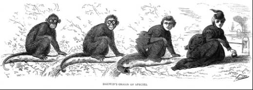 达尔文的进化论最出名的话,为何那么多人怀疑达尔文的进化论