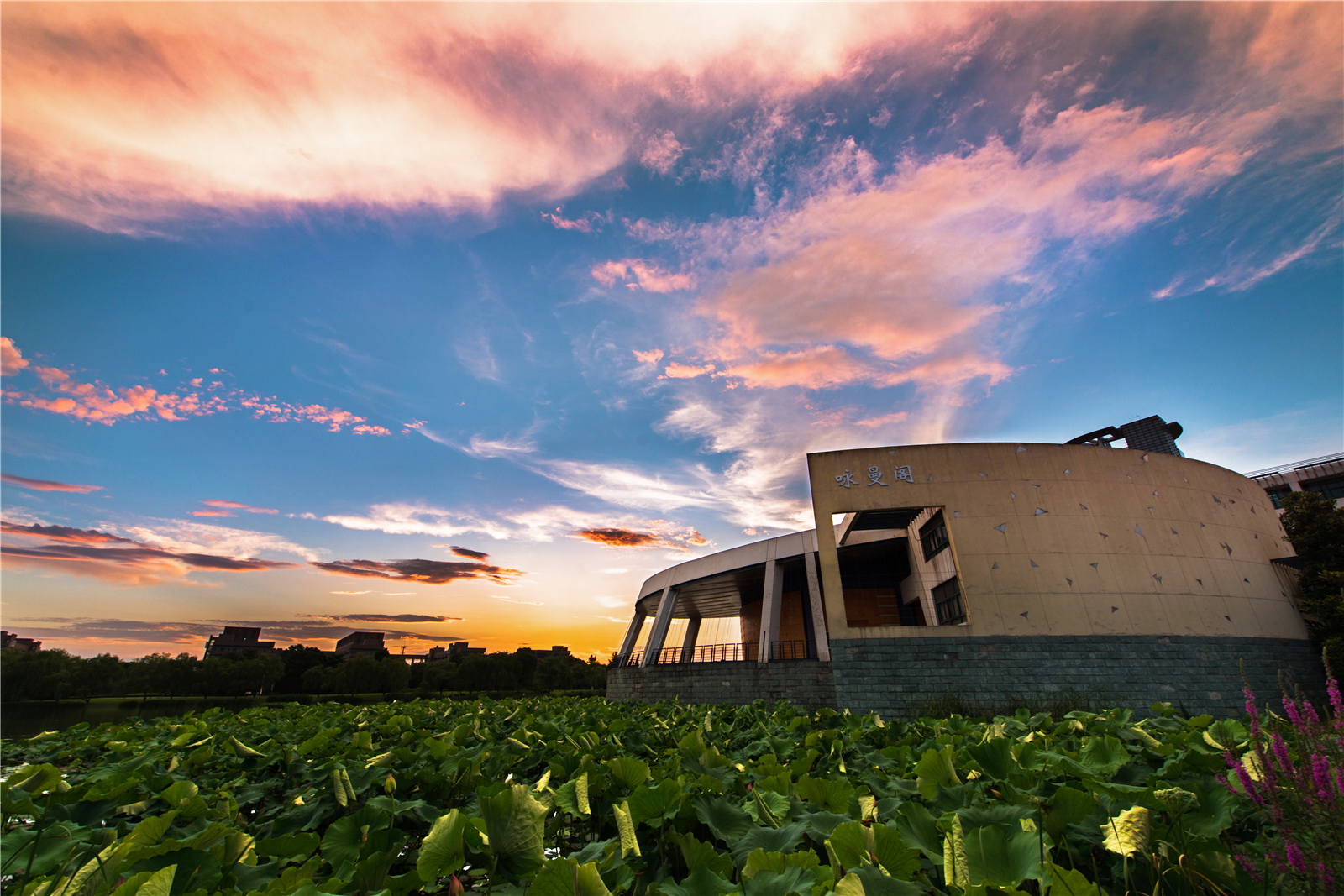 浙大回应社会关切,浙江大学的时代担当