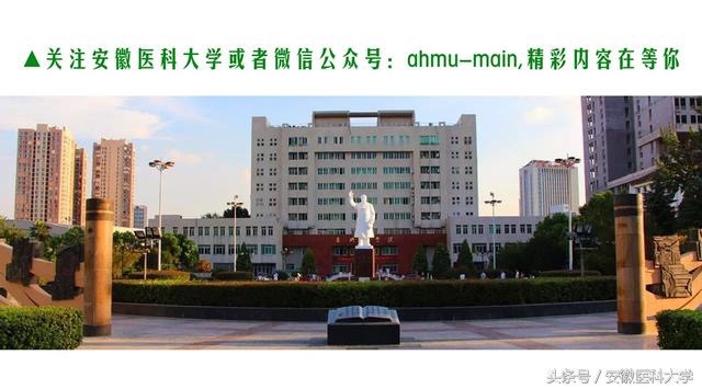 突破历史！安徽医科大学代表队首次获得全国临床技能竞赛一等奖~