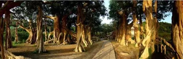 美到窒息！这些在象山影视城拍的写真，每一帧都可以做壁纸！