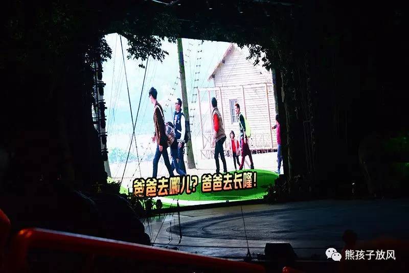 旅游攻略广州长隆野生动物园,游玩广州长隆野生动物园攻略