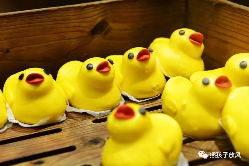 广州长隆野生动物园游玩攻略,广州长隆野生动物园攻略自由行