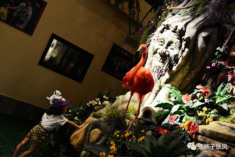 广州长隆野生动物园游玩攻略,广州长隆野生动物园攻略自由行