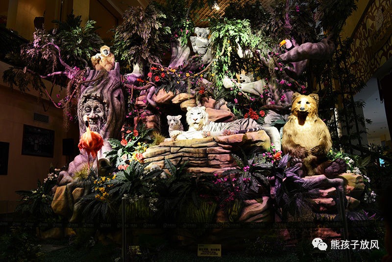 广州长隆野生动物园游玩攻略,广州长隆野生动物园攻略自由行