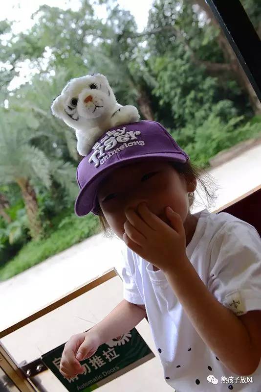 广州长隆野生动物园游玩攻略,广州长隆野生动物园攻略自由行