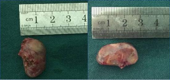 狐大医怎么样,狐大医