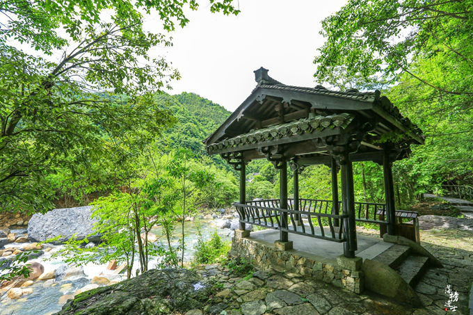 哪儿有原始森林拍照的景区,冬天适合拍照的原始森林