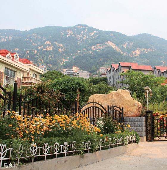 济南特点民宿设计,济南市民宿旅游攻略