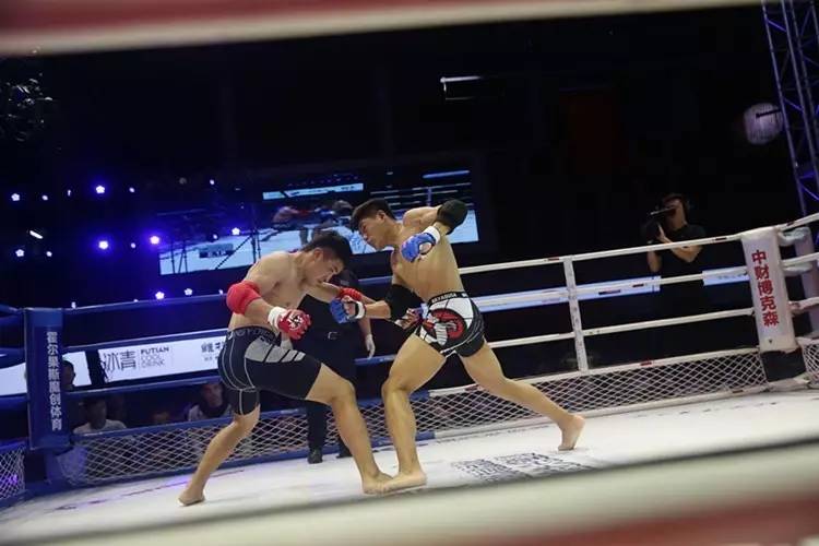 敖日格乐大战王奇,战无极搏击比赛