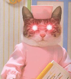 澳洲代购必买,澳洲代购最火商品