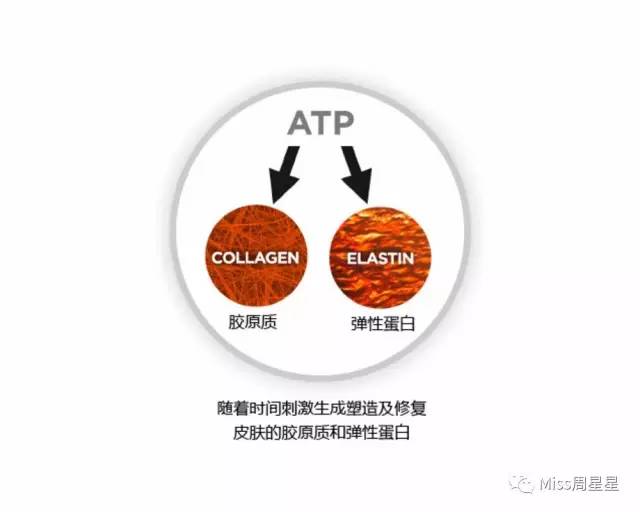提拉紧致抗衰老美肤仪,提拉紧致美容仪效果最好的