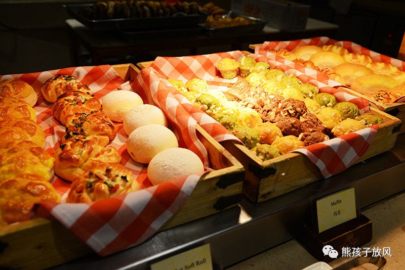 广州长隆野生动物园游玩攻略,广州长隆野生动物园攻略自由行