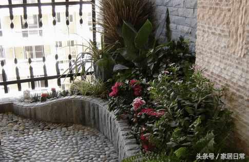 阳台风水三宜六忌阳台养植物,阳台养绿植有风水禁忌吗