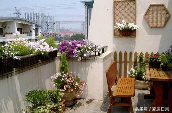 阳台风水三宜六忌阳台养植物,阳台养绿植有风水禁忌吗