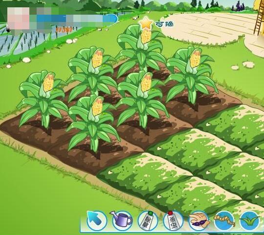 QQ农场现在怎么样了？以此篇勉怀那些年我们疯狂过的偷菜岁月