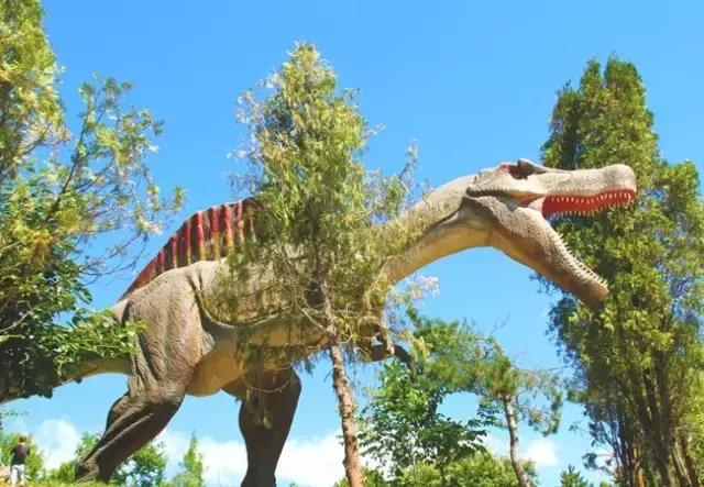 天津三日游自驾游超详细攻略,天津一日游攻略带孩子自驾