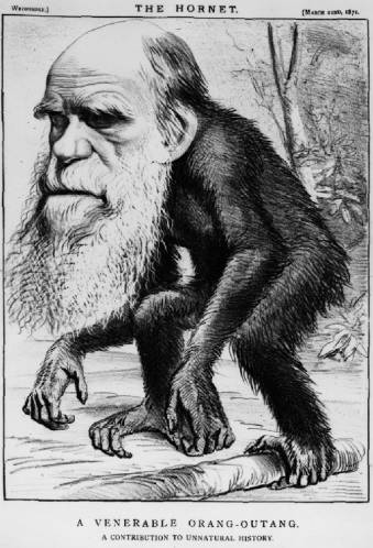 达尔文的进化论最出名的话,为何那么多人怀疑达尔文的进化论