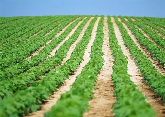 《人民的名义》农机手版：我们的精神一定是要始终健康，不赊账！