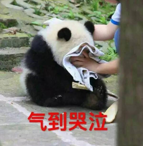 江疏影娜扎现场互相吐槽猝不及防,娜扎井柏然花少