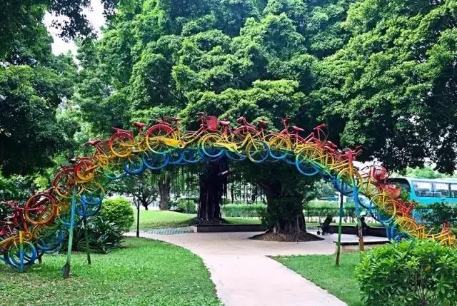 还坐什么地铁？坐上这趟最美公交，我宁愿堵成狗！