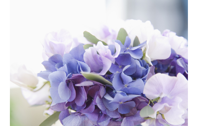 生日专用花语大全,生日花语大全9月