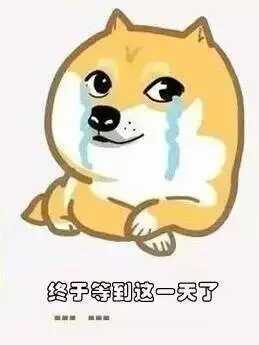 小熊叨叨叨：喜大普奔，策划要帮忙找对象啦！