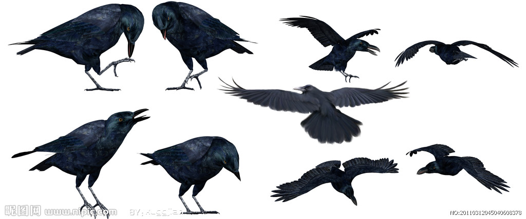 鲁智深为什么不帮林冲杀高俅,鲁智深为什么要下山