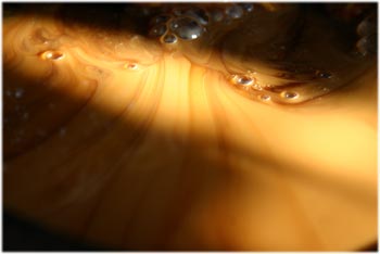 生漆的好处与坏处,生漆有必要吗