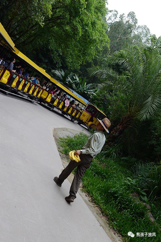 广州长隆野生动物园游玩攻略,广州长隆野生动物园攻略自由行