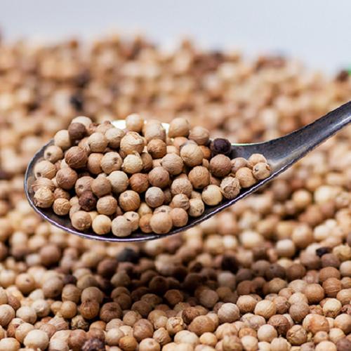 罗马人带来了黄金，带走的却是它