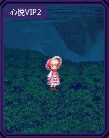 dnf心悦专属兑换宠物多久更新,dnf心悦专属宠物和年宠怎么样