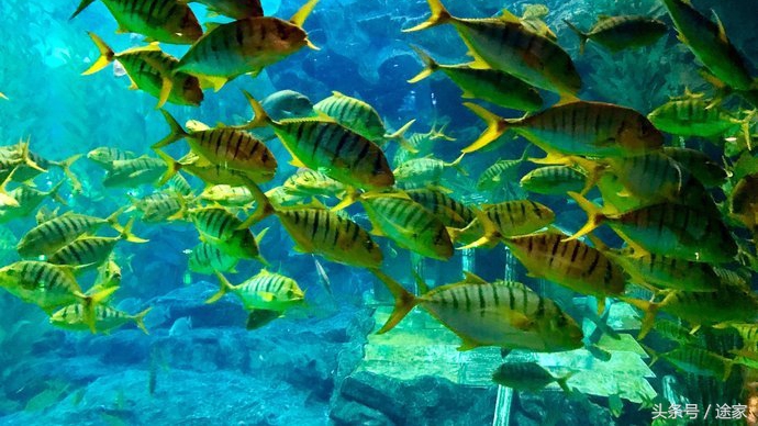 亲子游大连和青岛,青岛大连亲子游4天自由行攻略