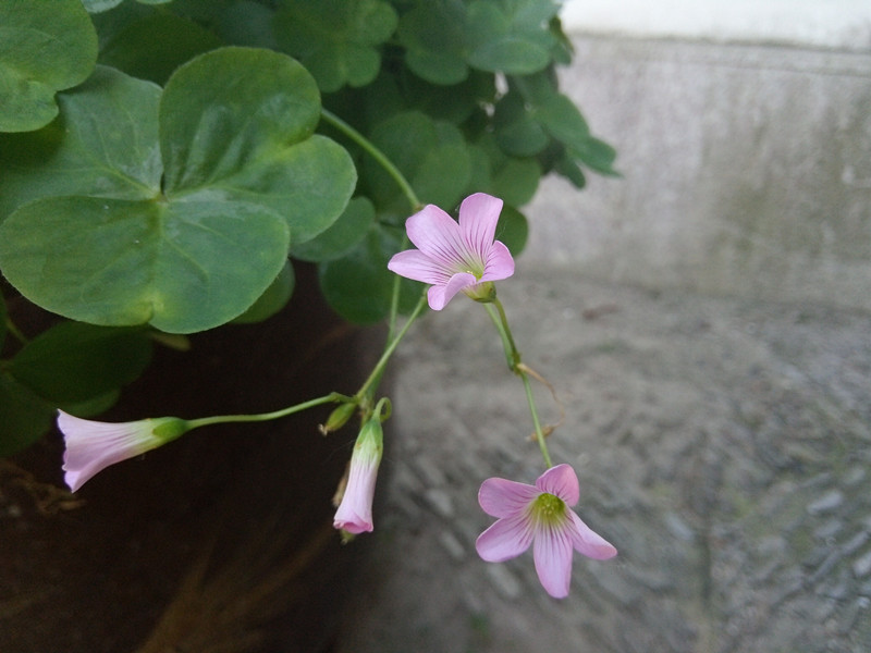 裸眼3d手机2019,沉浸式裸眼3d手机