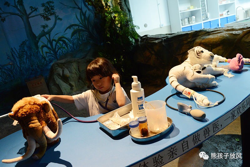 广州长隆野生动物园游玩攻略,广州长隆野生动物园攻略自由行