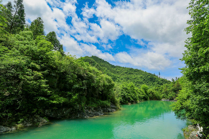 哪儿有原始森林拍照的景区,冬天适合拍照的原始森林