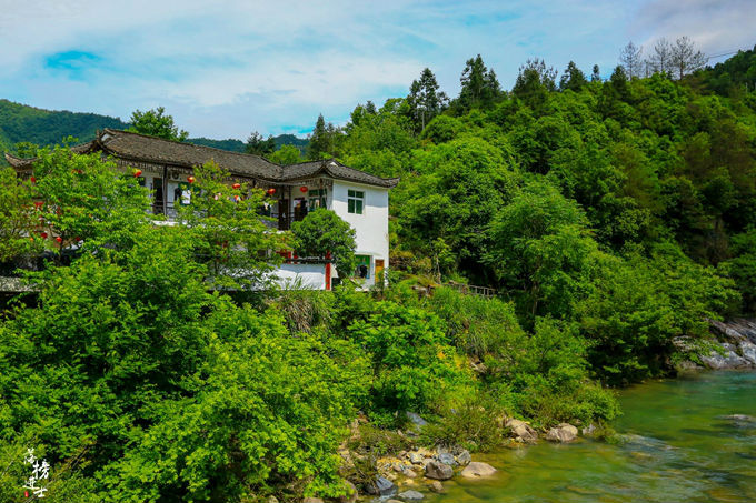 哪儿有原始森林拍照的景区,冬天适合拍照的原始森林