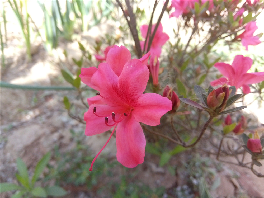 不一样的视角让你享用感官盛宴-ivviK5裸眼3D手机体验