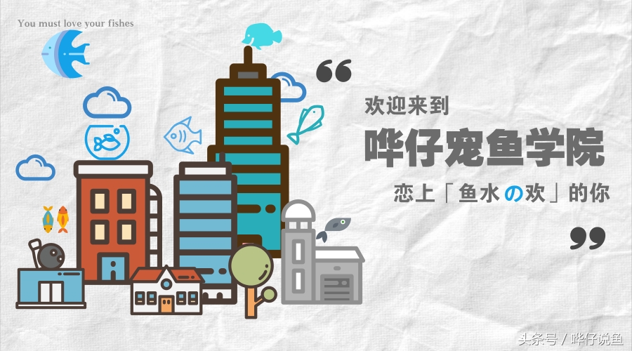 哗仔独家养水秘籍,哗仔独家开缸养水秘籍